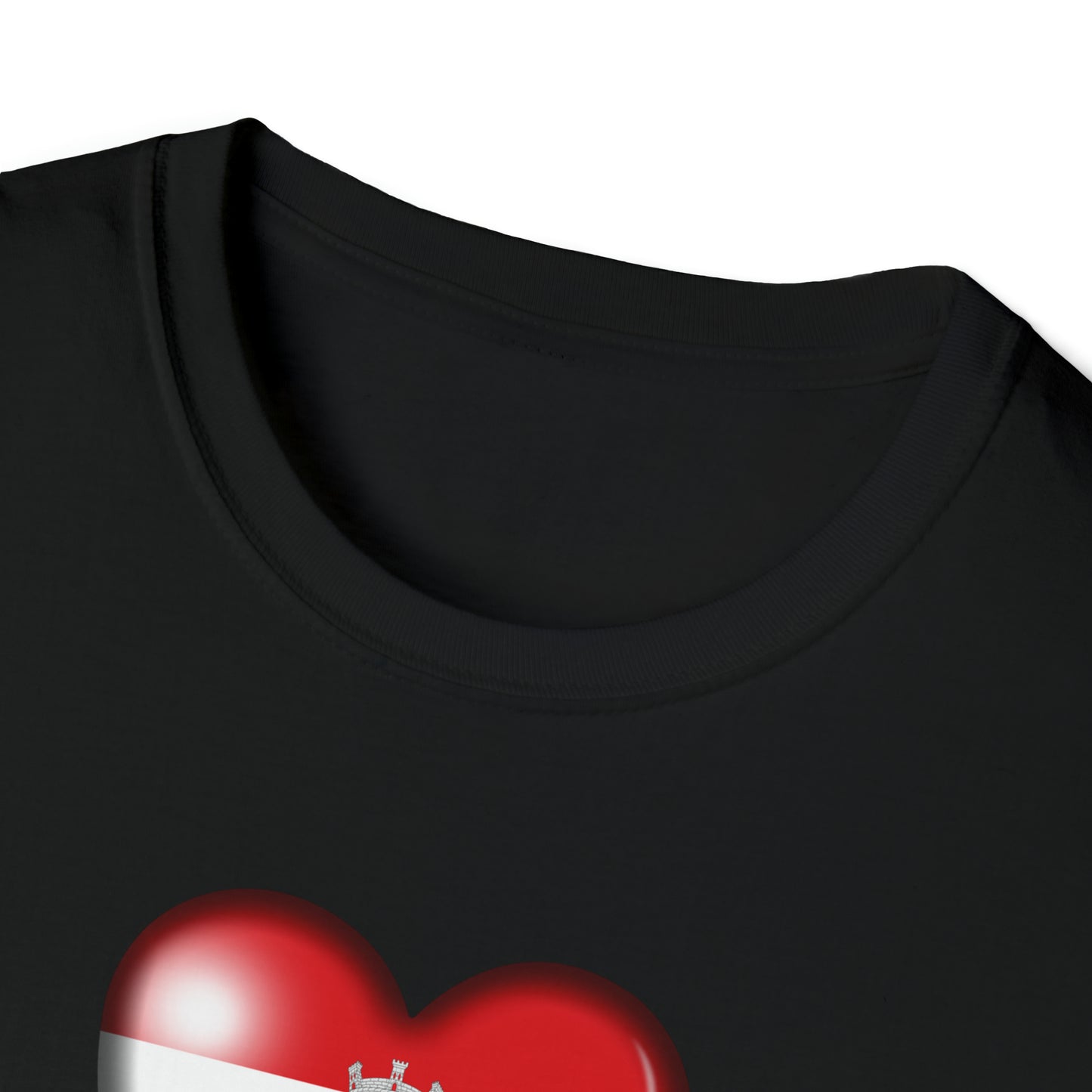 Fajardo PR  Unisex Softstyle T-Shirt